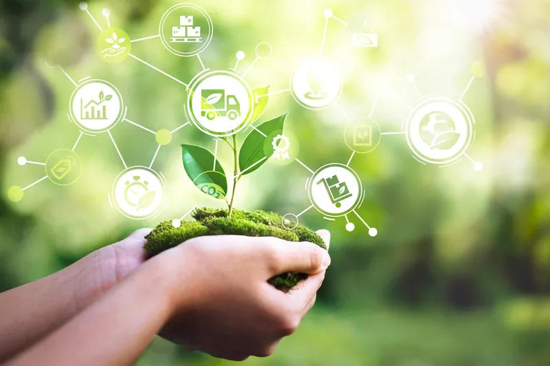 Monter un projet d’environnement, comment y procéder ?